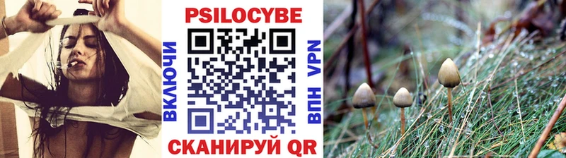 Галлюциногенные грибы мухоморы  купить наркоту  Усть-Илимск 