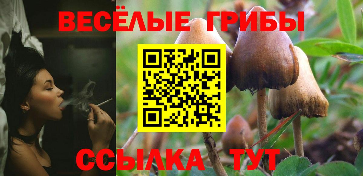 Усть-Илимск  Псилоцибиновые грибы Psilocybine cubensis  Вход с VPN 