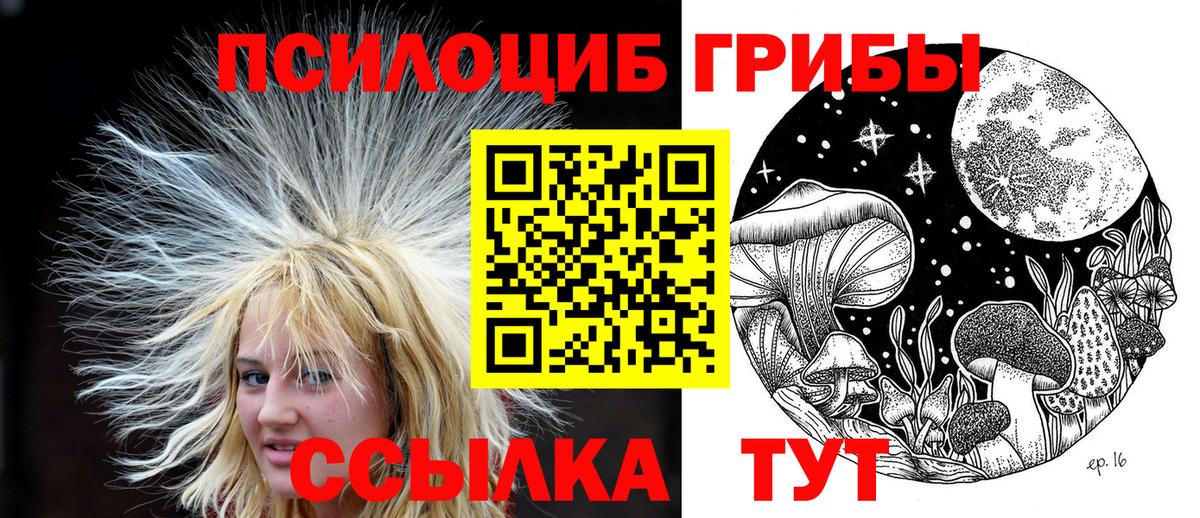 Галлюциногенные грибы прущие грибы Усть-Илимск